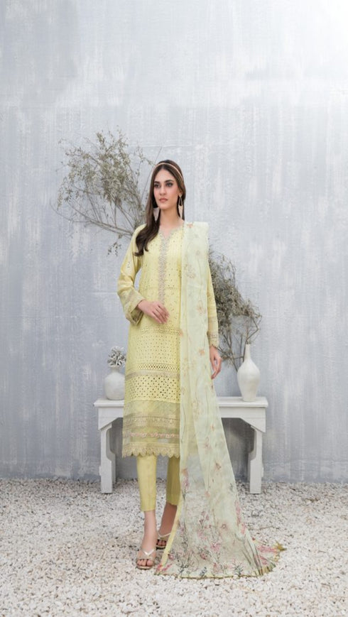 Payal tawakkal suit-TWPY-D005
