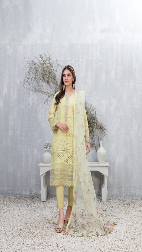 Payal tawakkal suit-TWPY-D005