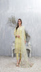 Payal tawakkal suit-TWPY-D005