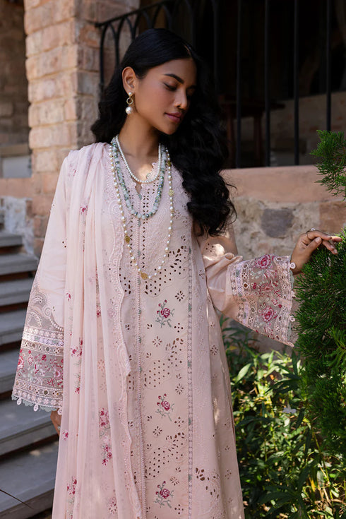Qalamkari Qline Summer Lawn-QM-14 Neha