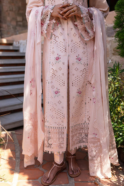 Qalamkari Qline Summer Lawn-QM-14 Neha