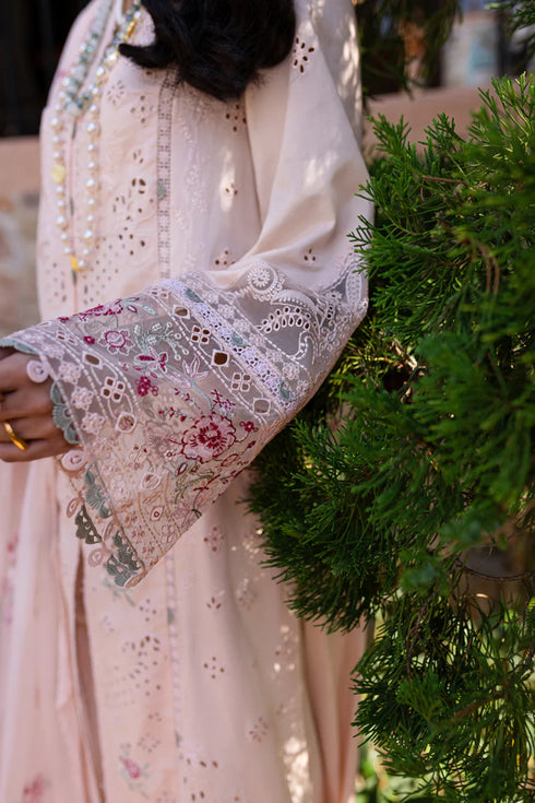 Qalamkari Qline Summer Lawn-QM-14 Neha