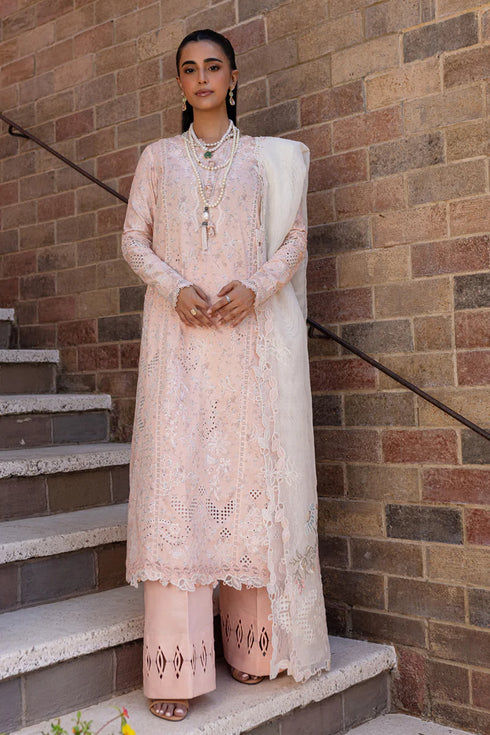 Qalamkari Qline Summer Lawn-QM-12 Miso