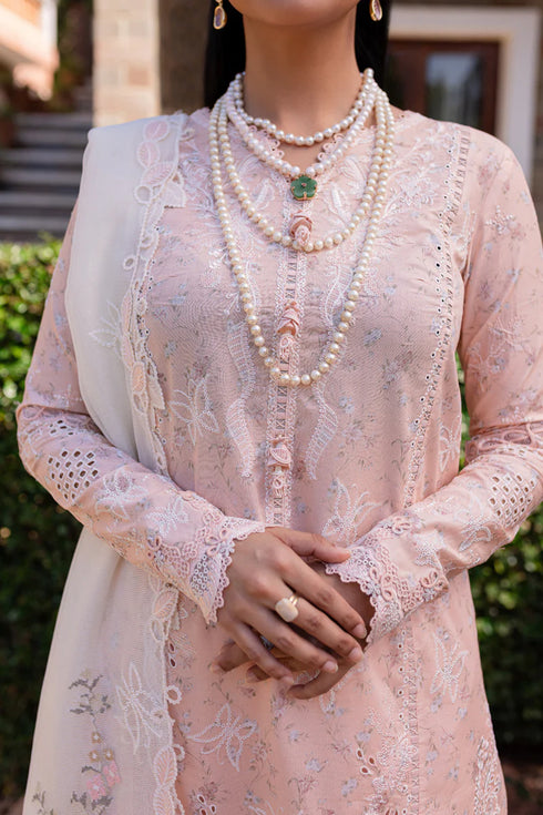 Qalamkari Qline Summer Lawn-QM-12 Miso