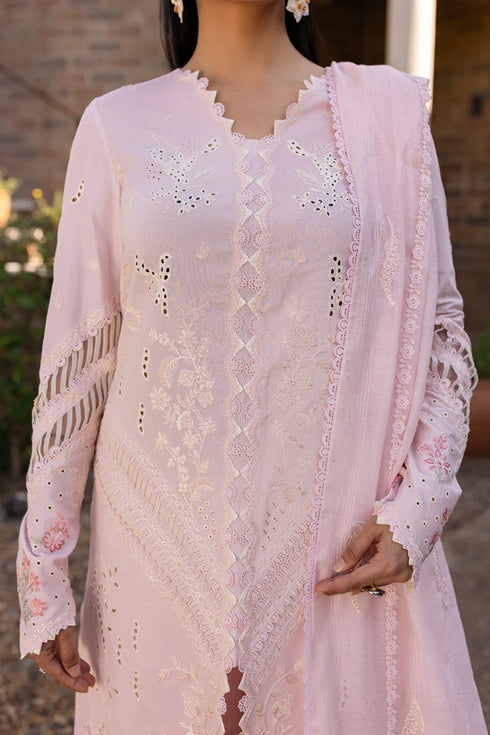 Qalamkari Qline Summer Lawn-QM-03 Rune