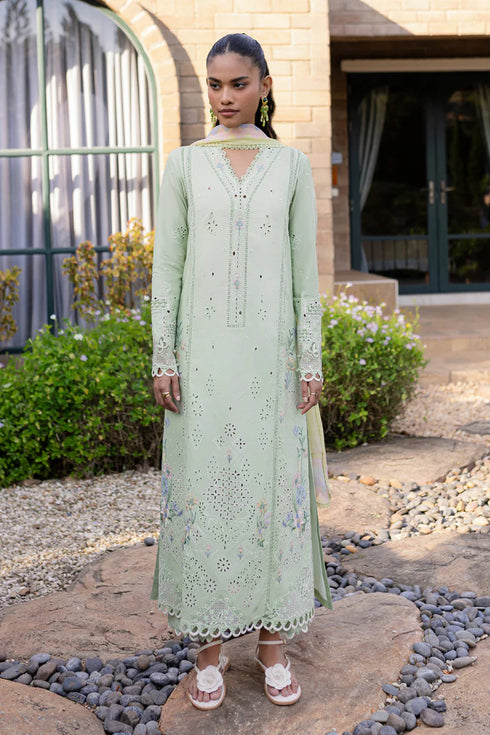 Qalamkari Qline Summer Lawn-QM-08 Maia