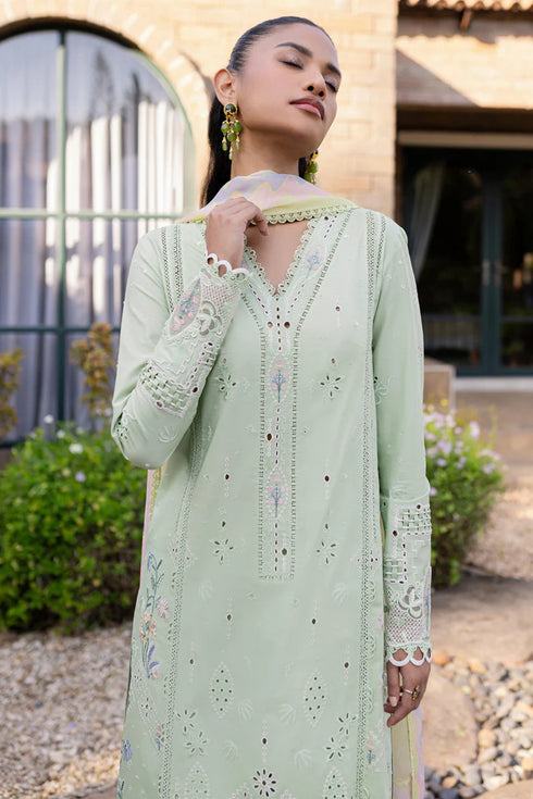Qalamkari Qline Summer Lawn-QM-08 Maia