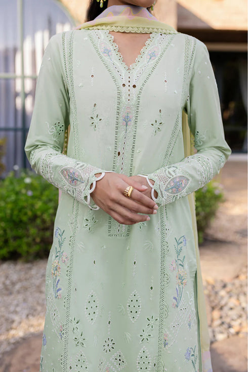 Qalamkari Qline Summer Lawn-QM-08 Maia