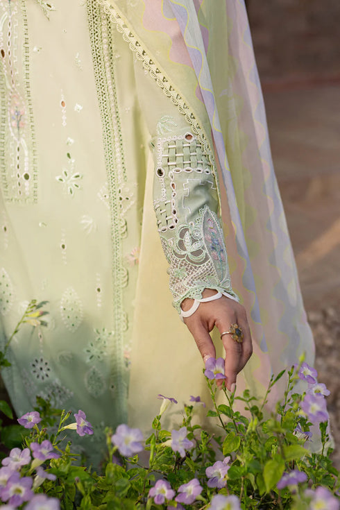 Qalamkari Qline Summer Lawn-QM-08 Maia