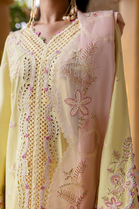 Qalamkari Qline Summer Lawn-QM-11 Ina