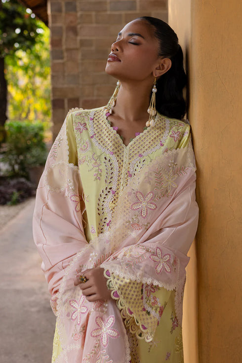 Qalamkari Qline Summer Lawn-QM-11 Ina