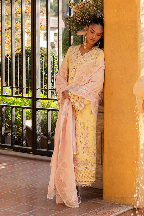 Qalamkari Qline Summer Lawn-QM-11 Ina