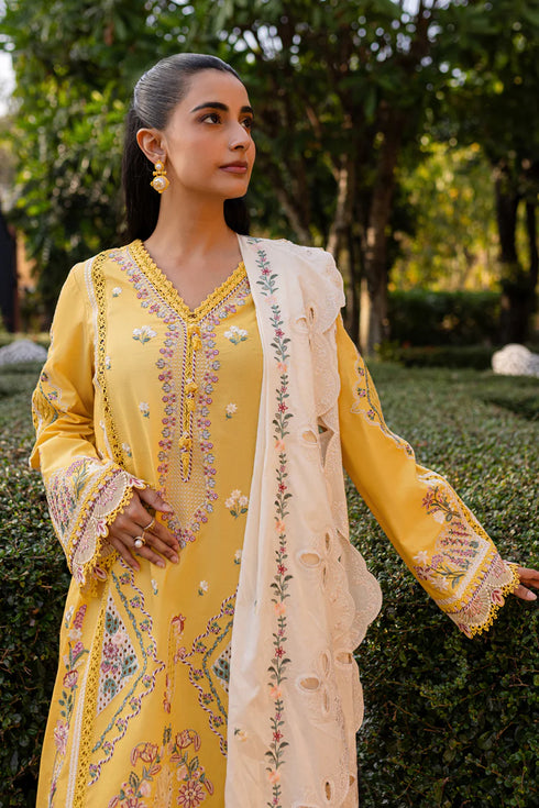 Qalamkari Qline Summer Lawn-QM-10 Olena