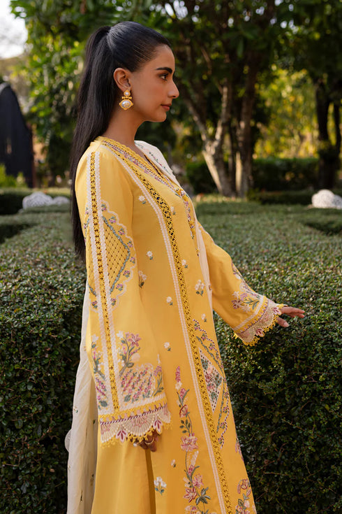 Qalamkari Qline Summer Lawn-QM-10 Olena