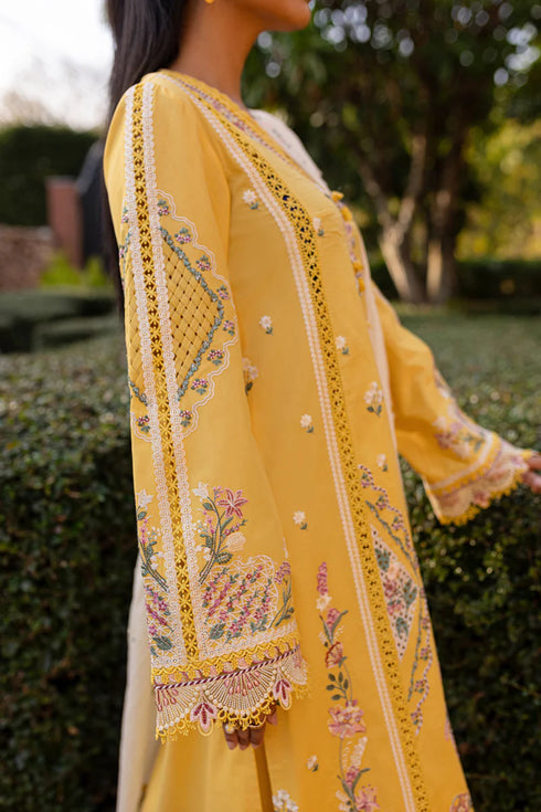 Qalamkari Qline Summer Lawn-QM-10 Olena