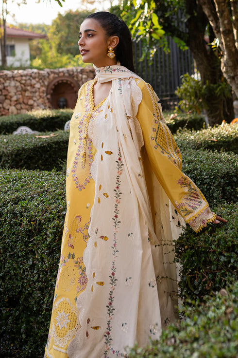 Qalamkari Qline Summer Lawn-QM-10 Olena