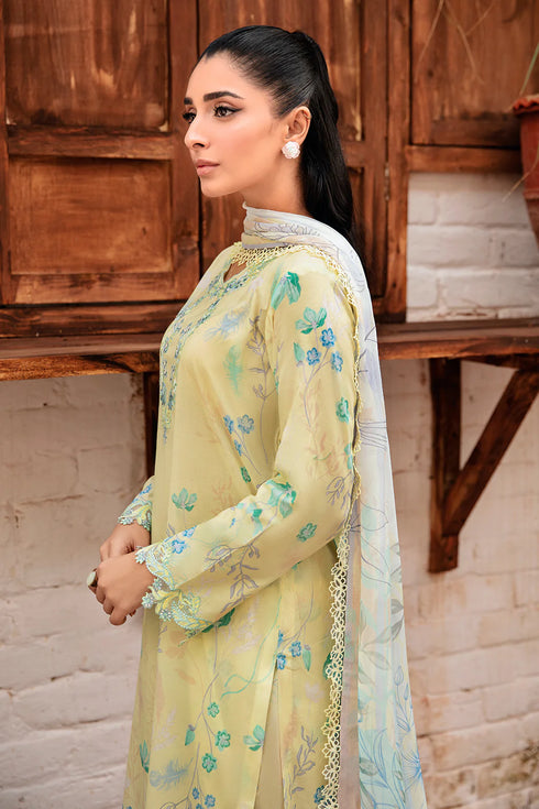 Ramsha - Rangrez Lawn Collection 2024 -N-407-gurugram