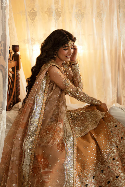 Afrozeh Hayat ’24 Wedding Collection | Nooray
