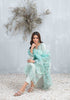 Payal By Tawakkal Fabrics original pakistani suit -TWPY-D003