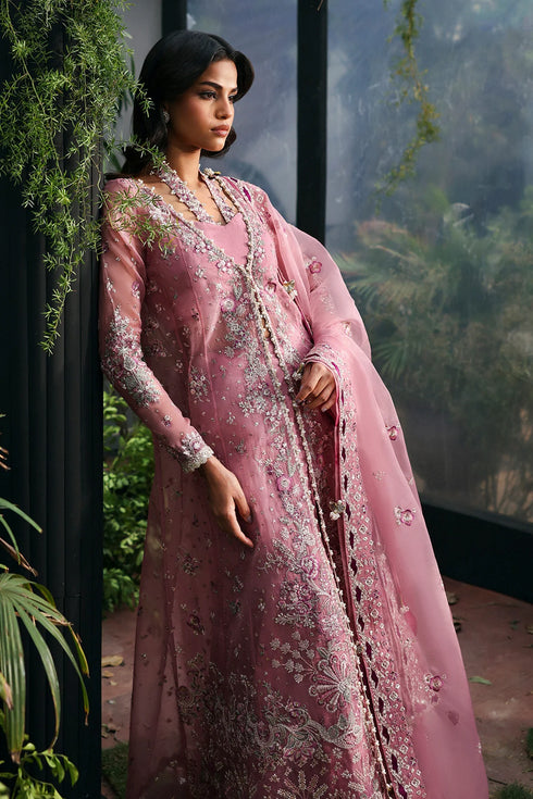 Afrozeh La Fuchsia Luxury Formal Collection-Seraira