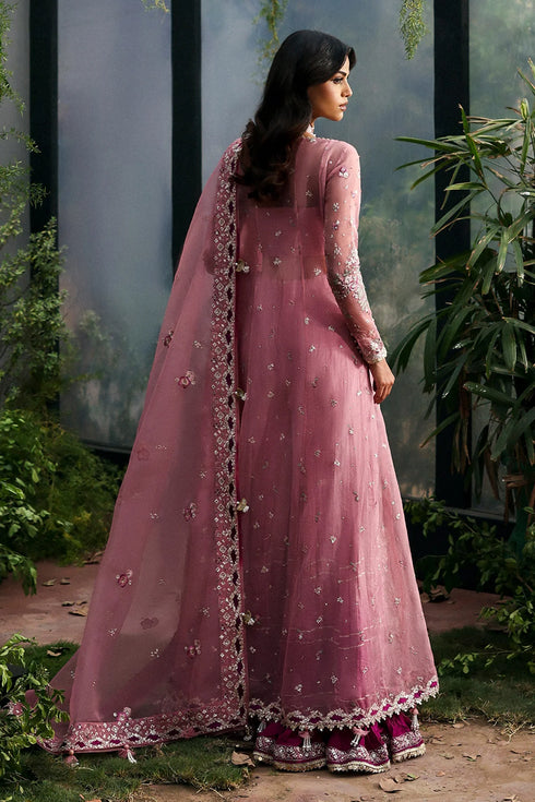 Afrozeh La Fuchsia Luxury Formal Collection-Seraira