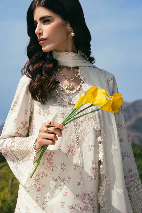 Qalamkar Qlinekari Lawn-DC-13 Miri