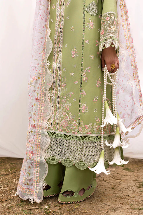 Qalamkar Qlinekari Lawn-DC-01 Lovisa