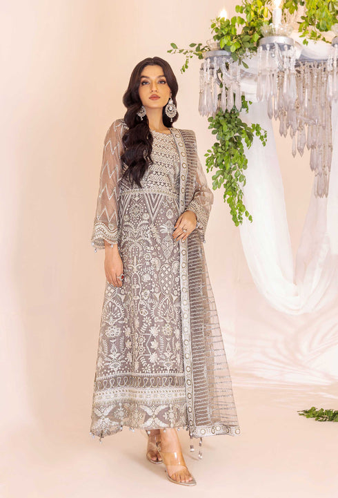 malmal-parchaiyan-06-party-wear-luxury-pakistani-suits