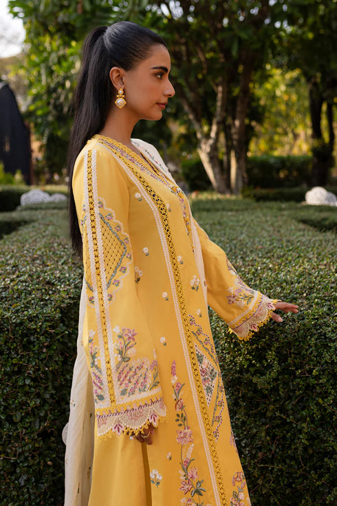 Qalamkari Qline Summer Lawn-QM-10 Olena