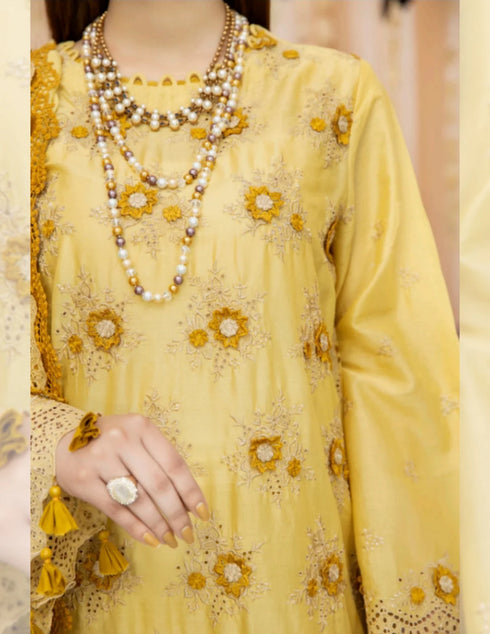 adan-libas-chantelle-chikankari-freya-allibaash.com