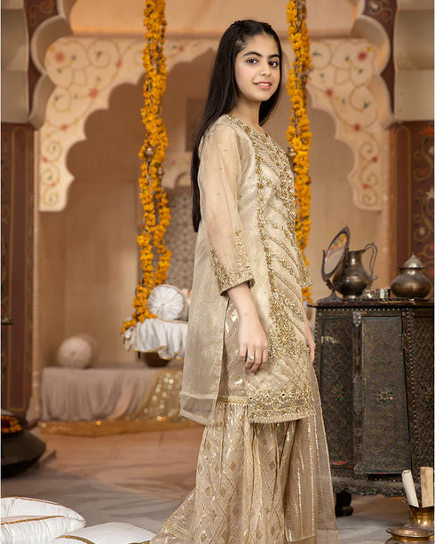 Girl kids Pishwas Allys AL-3302-Kids