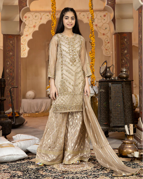 Girl kids Pishwas Allys AL-3302-Kids