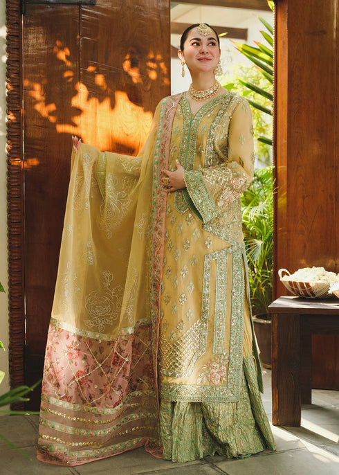 Saira Shakira Pret-FYC4103