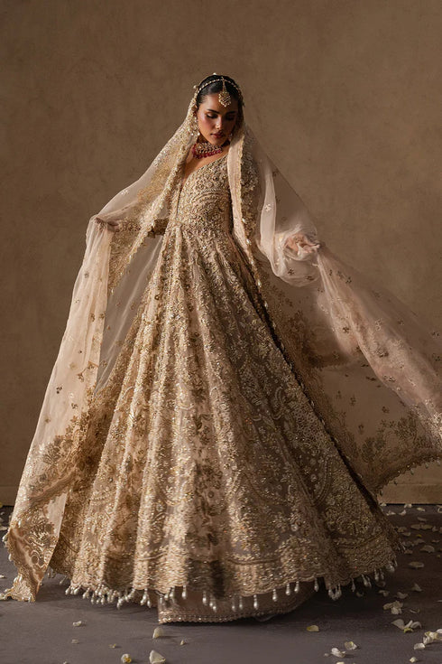 Afrozeh The Brides Edit Luxury Wedding Formals – Catarine