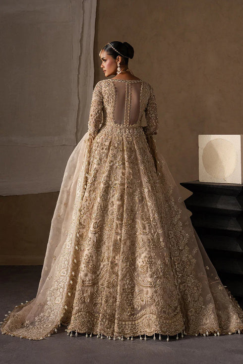 Afrozeh The Brides Edit Luxury Wedding Formals – Catarine