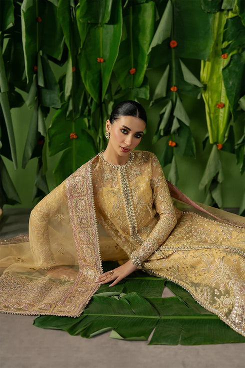 Ayzel Pehli Nazar Luxury Formals – Chahat